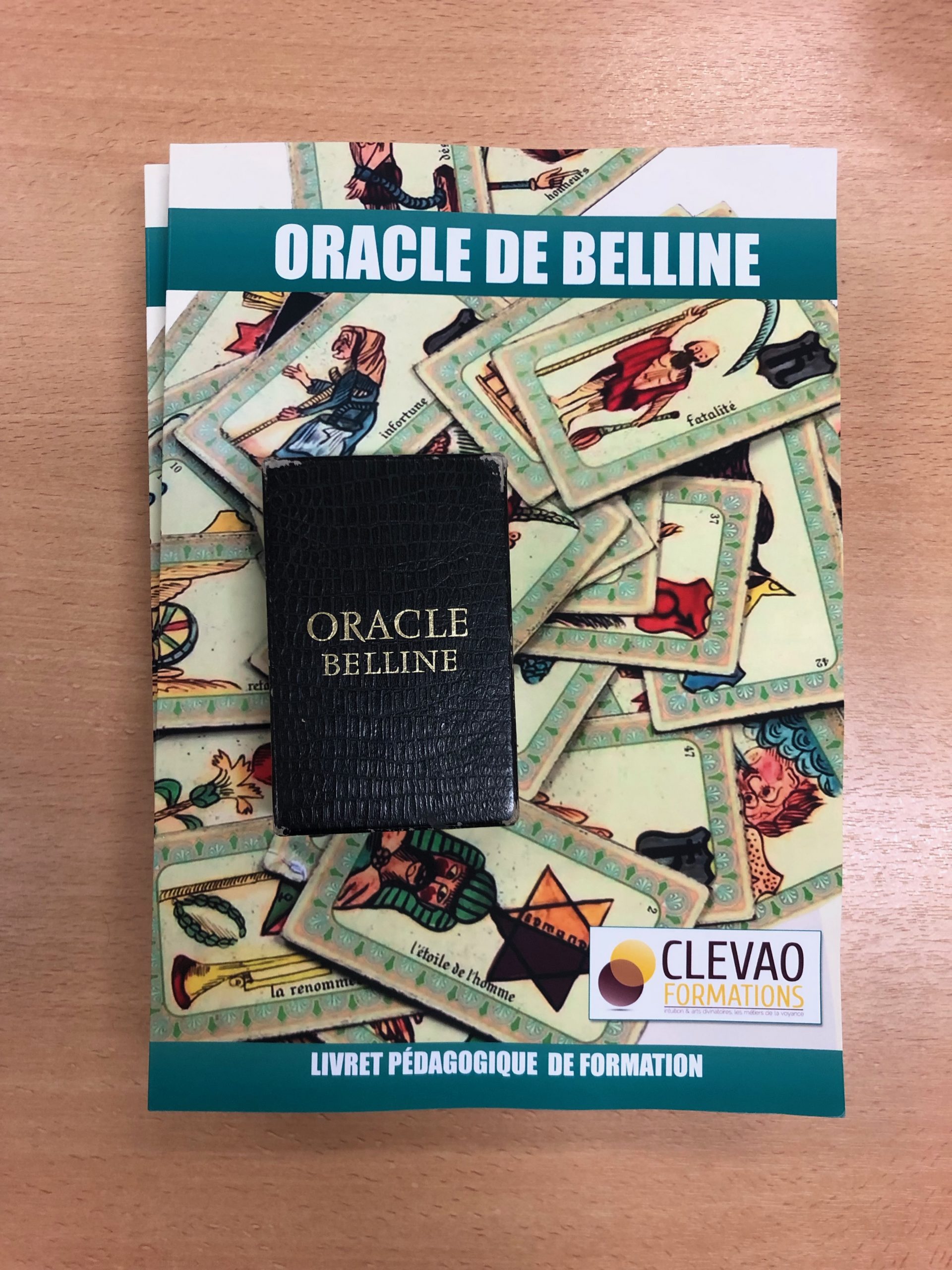 LIVRET DU STAGE ORACLE DE BELLINE - 32 € + port